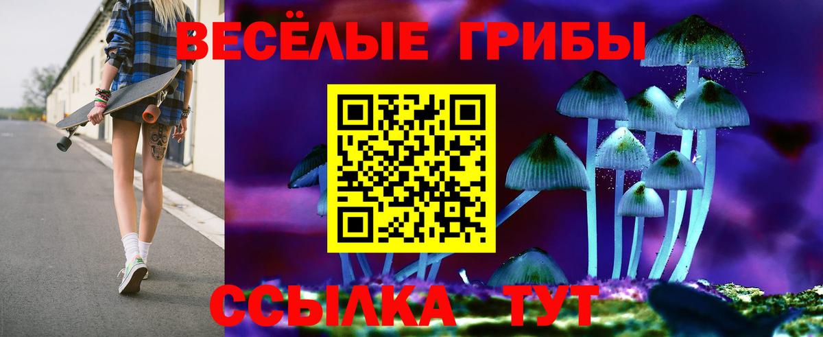 Джанкой  Галлюциногенные грибы Psilocybe  Псилоцибиновые грибы MAGIC MUSHROOMS  Вход с VPN 